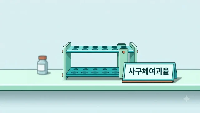 사구체여과율 정상수치 — 국가검진·임상 기준 차이와 낮을 때 다음 단계