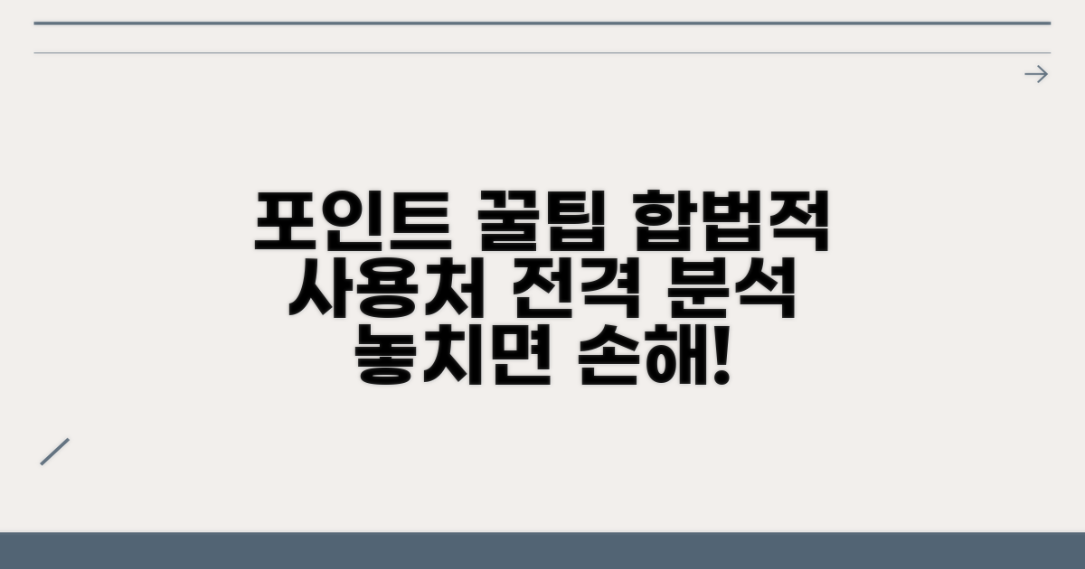 합법적인 포인트 사용처 완벽 분석