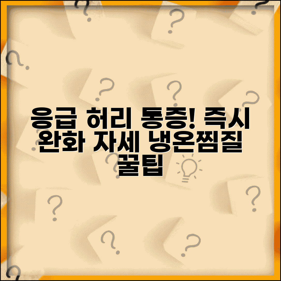 허리 아플때 응급 대처법 | 급성 요통 발생시 즉시 완화하는 자세와 냉온찜질 방법