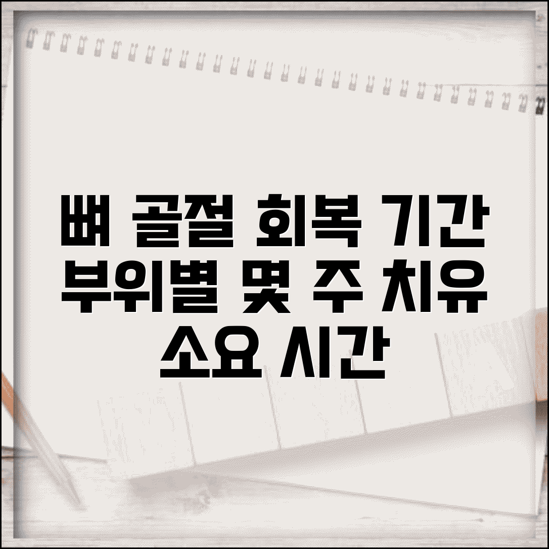 골절 회복 기간 부위별 몇 주 | 뼈 골절 치유 소요 시간