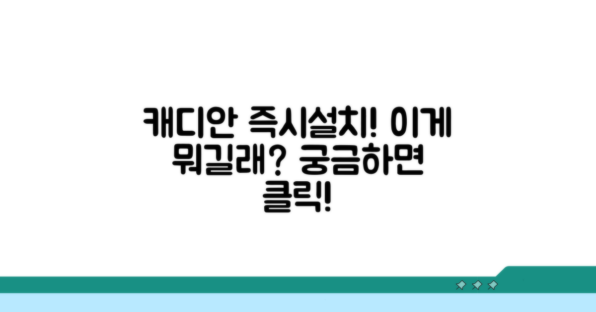 즉시설치 캐디안 서비스란?
