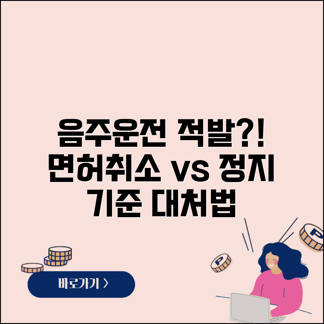 음주운전 적발됐을때 | 면허취소 vs 정지 기준과 대처