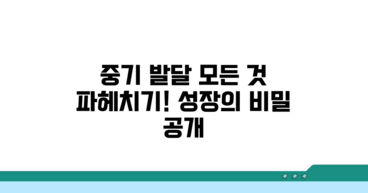 중기 발달 과정 상세 분석