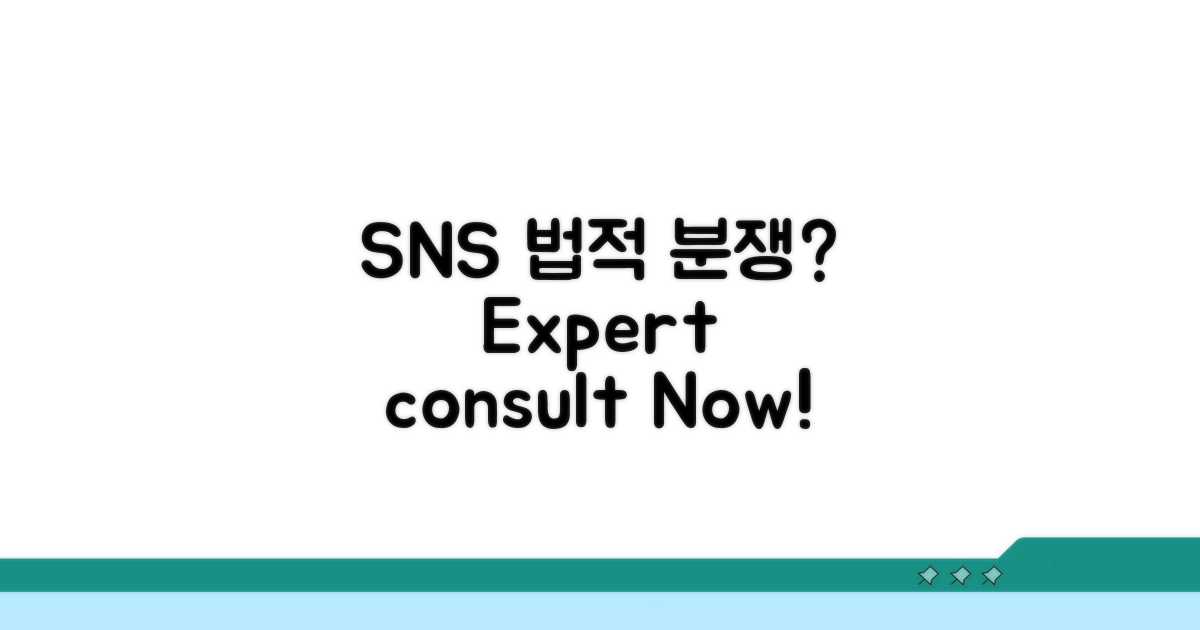 SNS 법적 분쟁, 전문가 상담