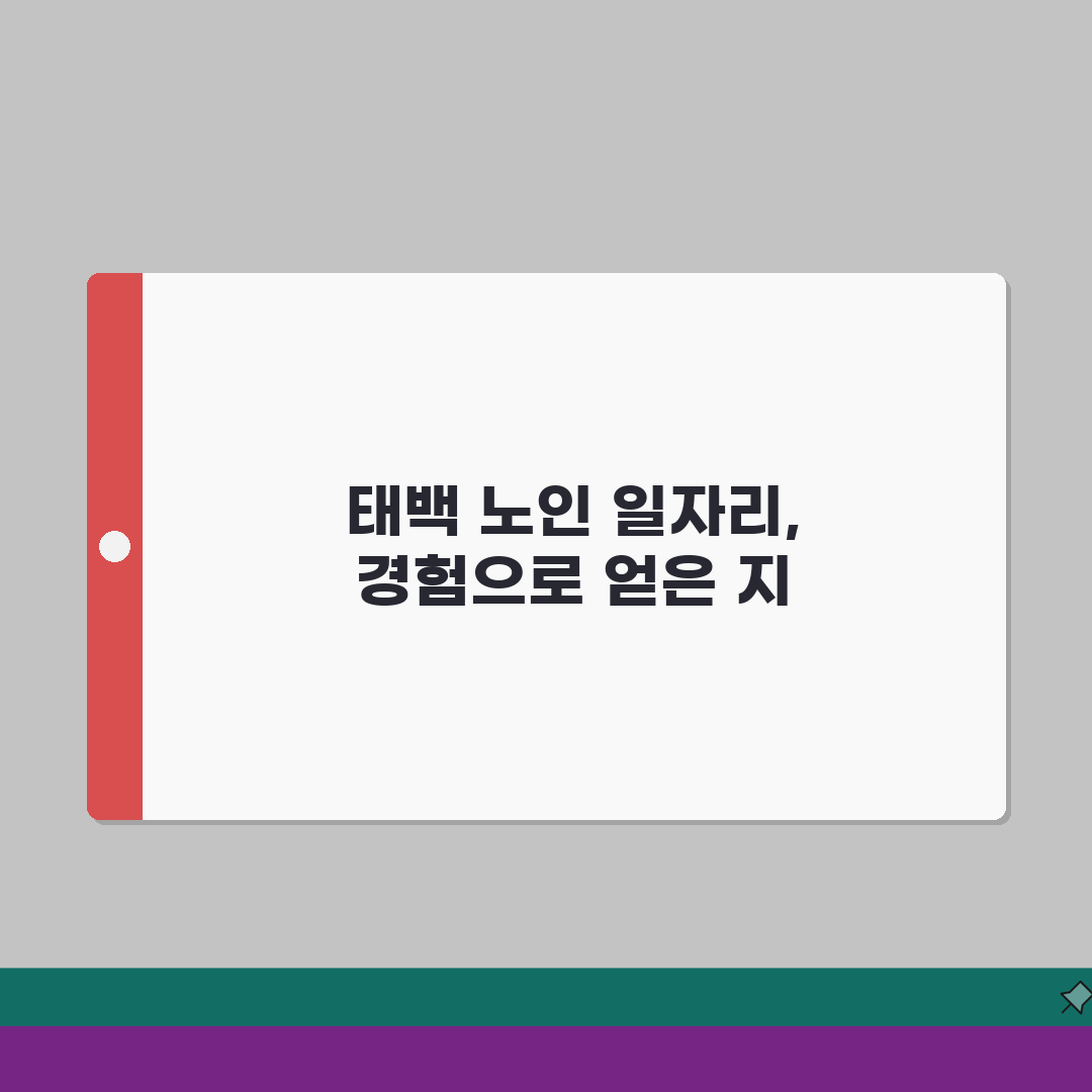 태백시 노인 일자리 | 중장년 취업, 시니어 알바, 공공근로, 종합복지관 솔직후기, 직접