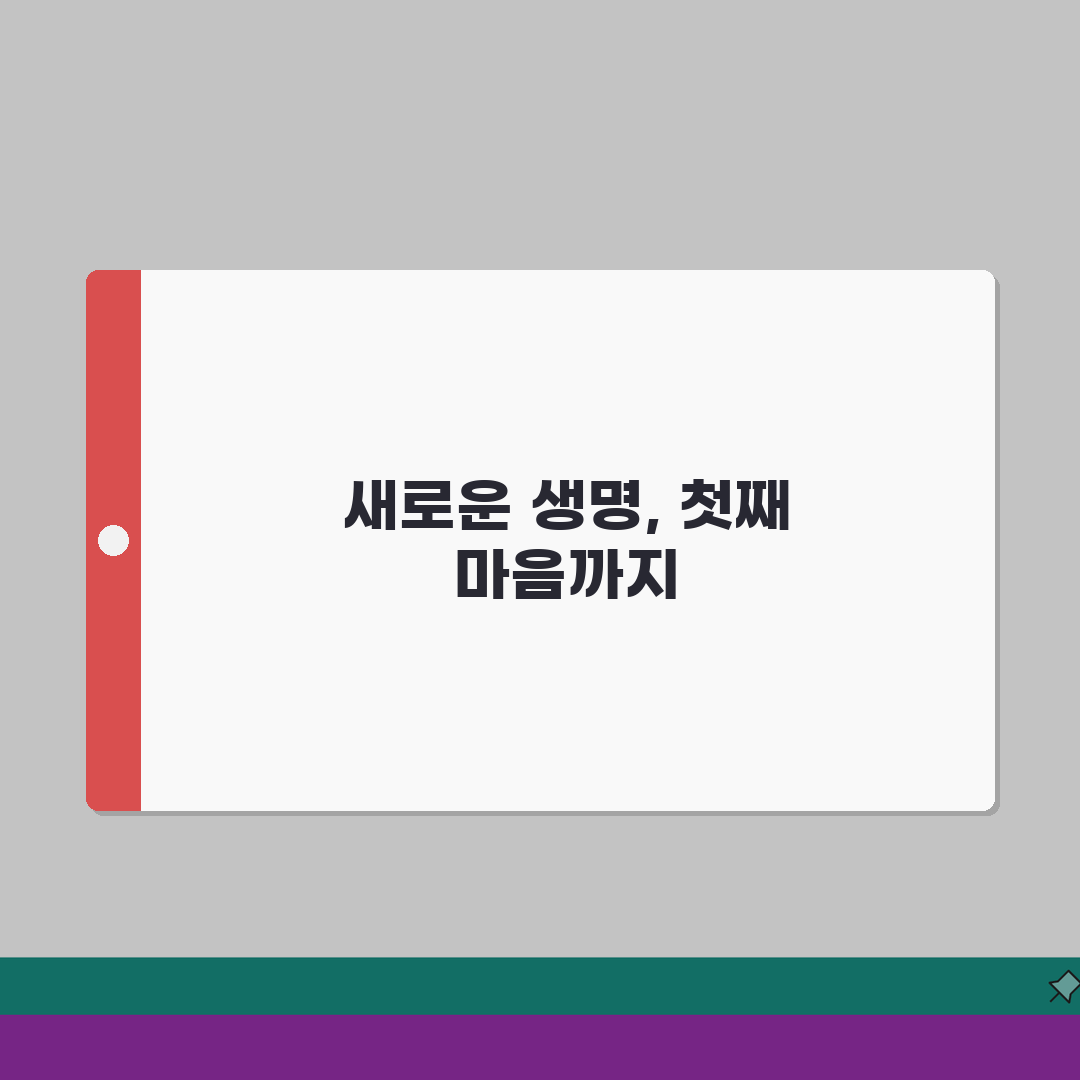 둘째 임신 계획 터울 관리 첫째 심리 케어 방법 완벽 가이드, 직접 해봤어요