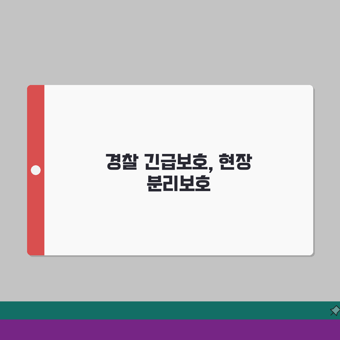 가정폭력 긴급임시조치 | 경찰의 긴급보호 | 현장 분리보호 | 가해자 격리 조치 솔직후기,
