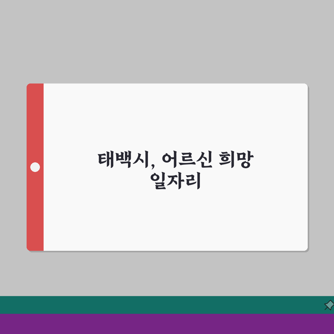 태백시 노인 일자리 | 중장년 취업, 시니어 알바, 공공근로, 종합복지관 솔직후기, 직접