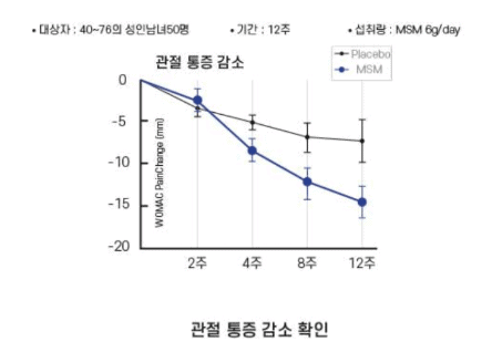 MSM 성분이 관절과 연골 건강에 주는 도움