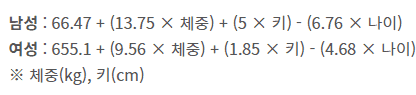 기초대사량 계산 공식